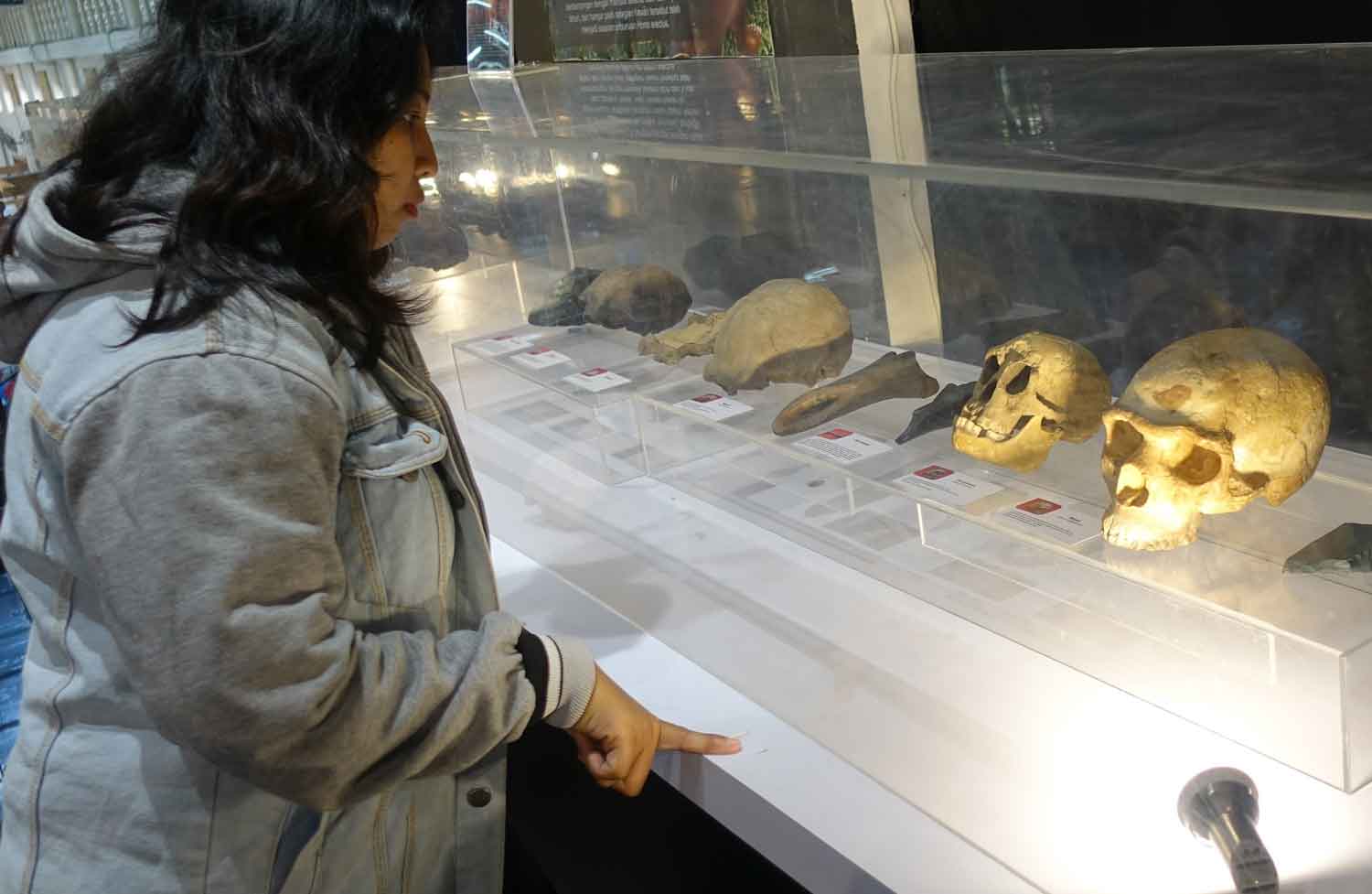 Mengenal Asal Usul Manusia di 'Evolusi Kita' | eastjavatraveler.com