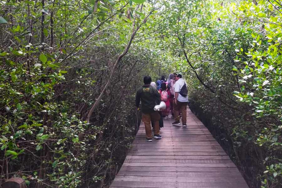 Liburan di Mangrove, Surabaya